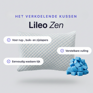 Lileo Premium Hoofdkussen