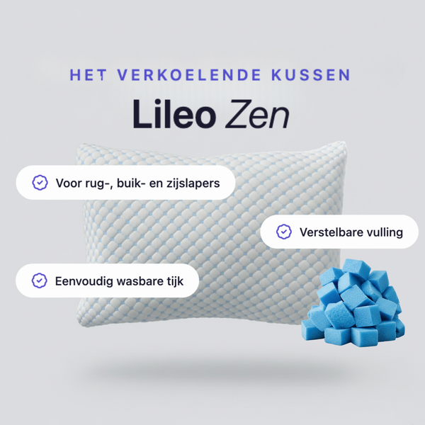 Lileo Premium Hoofdkussen