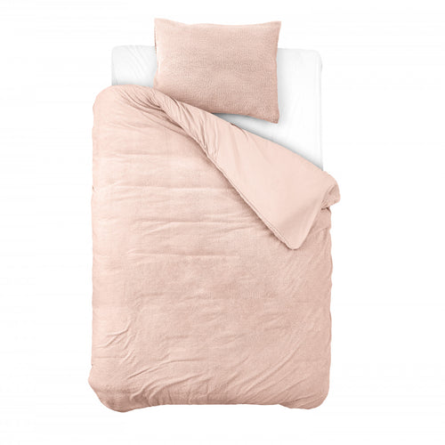 Teddy Roze