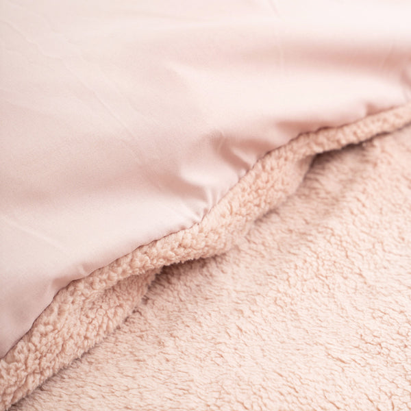 Teddy Roze