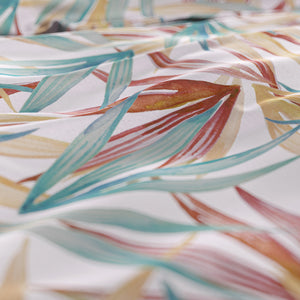 Aster Multi