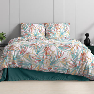 Aster Multi